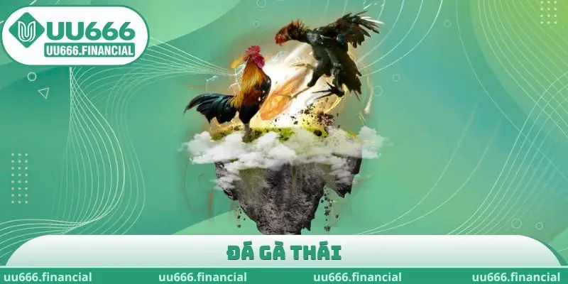 Đá Gà Thái