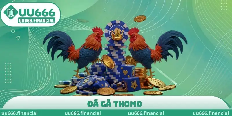 Đá gà Thomo