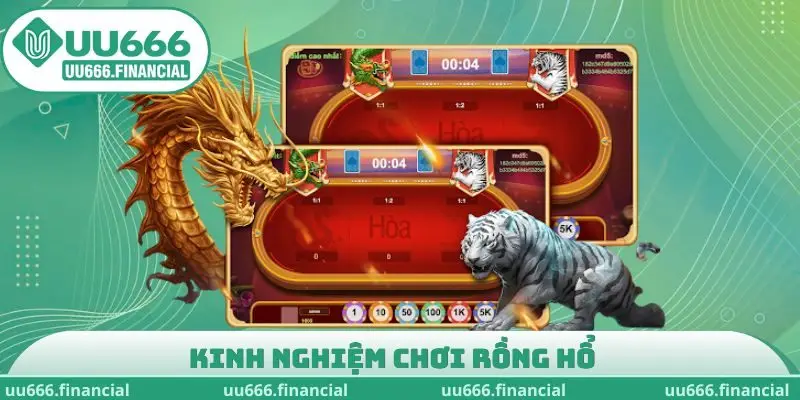 kinh nghiệm chơi rồng hổ
