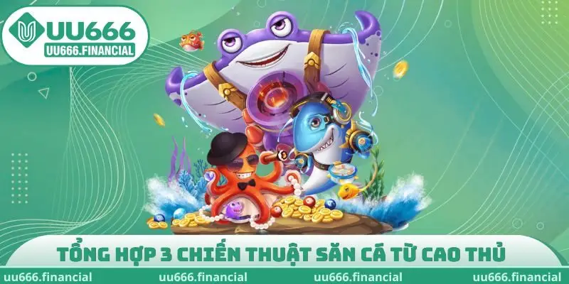 Tổng hợp 3 chiến thuật săn cá từ cao thủ